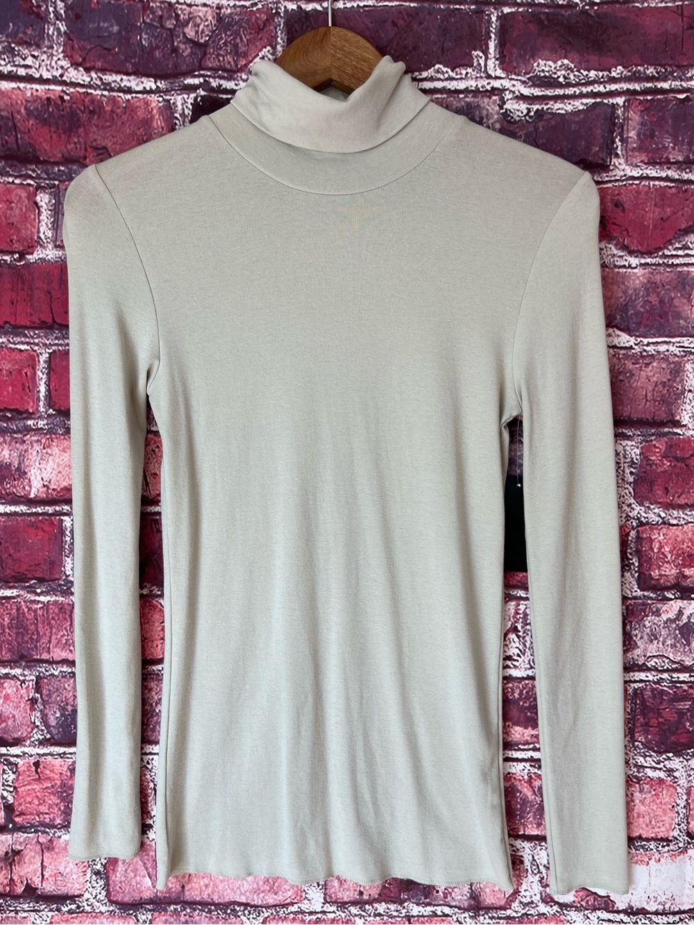 Premise Studio Silt Gray Pima Cotton Modal Turtleneck